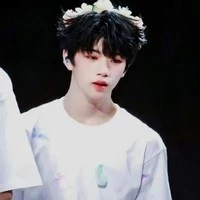 trương hàm thụy anh