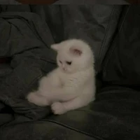 Ynnie đang đập đá👁👄👁