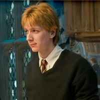 Fred Weasley 
