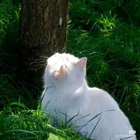 hệ thống phongk cáchk