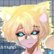 hiha anti catnap