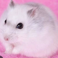 phương ly(bản chụt)