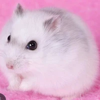 ánh sáng aza(bản chụt)