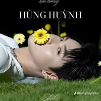 Gemini HH