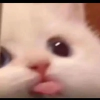 Nói chung là còn thở