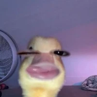 Tác giả cte hột mẹ xí mụi hột mít 