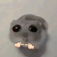 tg 🐖