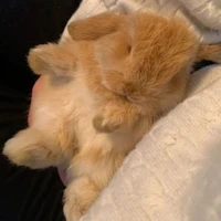 Neobel🐇💗
