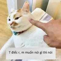 all( - ai thì trừ )