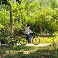 Dương Bác Văn - anh