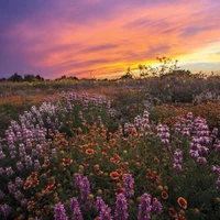 Một mình tao chấp hết vai phụ😎