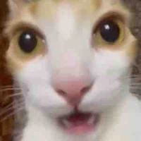 Thần xuyên ko😏