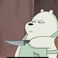 Ice bear