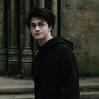 Harry Potter.