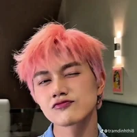 Nguyễn Thái Sơn(Jsol)