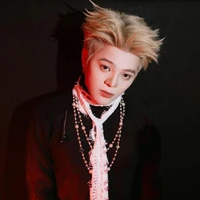 Nguyễn Quang Anh ( Rhyder )