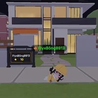 Bông đayy