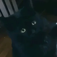 ????