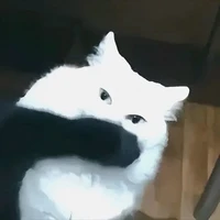 ???
