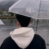 t.giả