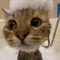 An