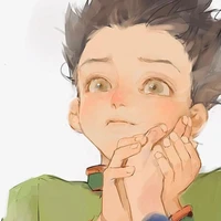 Gon Freecss