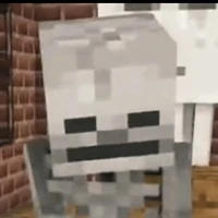 Skeleton