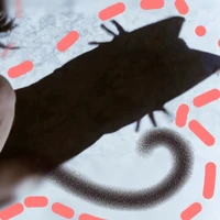 tg