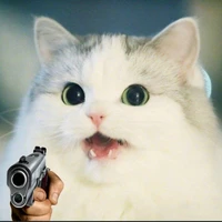 con mèo vô tội vạ《Tg》