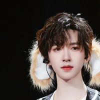 Hạ Tuấn Lâm