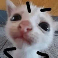mụ tg