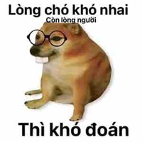 Hế thống😇