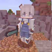16_DonMC