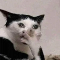 gơnmáichéobẻláiđếnbêncácđộcgiả