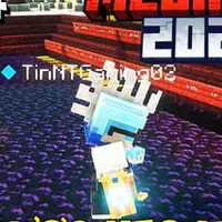 TinNT