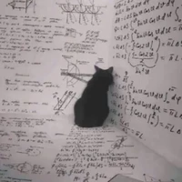 yeurhycapmaimai