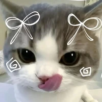 All(trừ ai thì trừ[tùy trường hợp])
