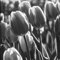 #౨ৎᴘʟɪᴢᴢᶻ 𝗓 𐰁 .ᐟ