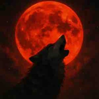 𝐋𝐲𝐇𝐚𝐧 | 𝐒𝐨́𝐢