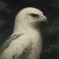 𝐌𝐚𝐢𝐪𝐮𝐢𝐧𝐧 | 𝐂𝐡𝐢𝐦 𝐔̛𝐧𝐠