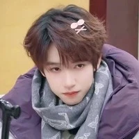 Hạ Tuấn Lâm/Em/