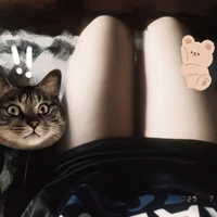 Bánh mì chả cáa