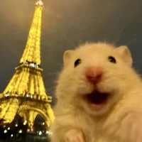 𝙓𝙞𝙣𝙤 𝙔𝙚𝙖𝙝