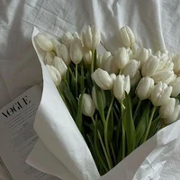 𝙎𝙣𝙤𝙬_🎀