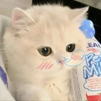 Yurika ( T/G ❤️ độc giả)