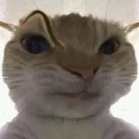 nhìn gì,thích tôi à?