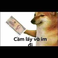 Cả lớp 