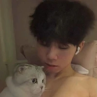 Hữu Đạt/Phoenix