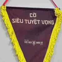 T/g luỵ JP