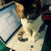 Nhân Vật Nữ